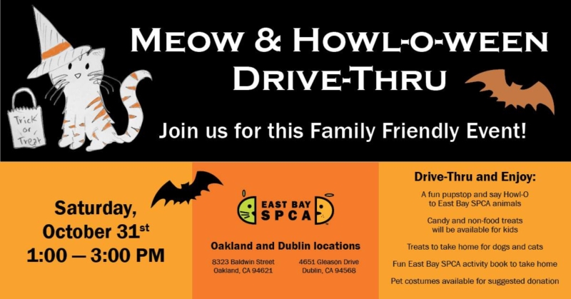 120477171_10159035232038413_8979761705112605575_o