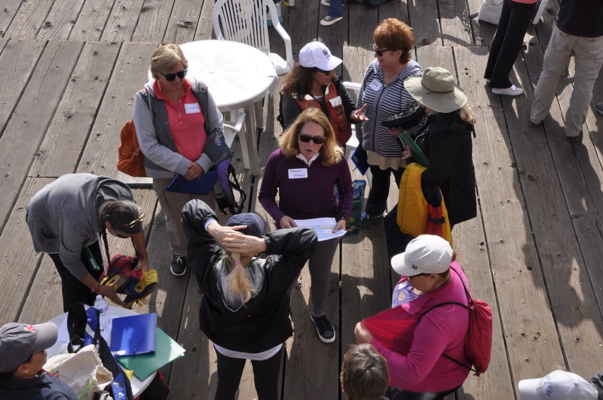 Skipper Rome Kirby abord the USA SailGP Team's F50 during a race condition practice session. Race 1 Season 1 SailGP event in Sydney Harbour, Sydney, Australia. 12 February 2019. Photo: Matt Knighton for SailGP. Handout image supplied by SailGP
